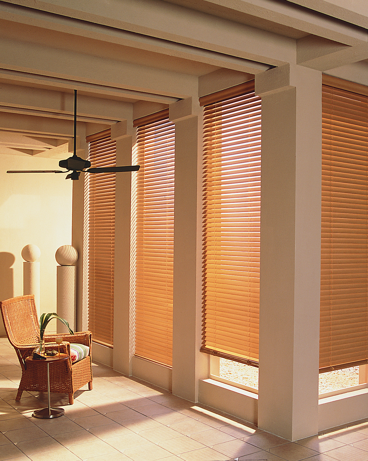 blinds in living area